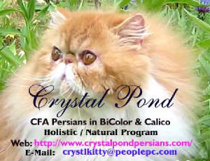 Crystal Pond