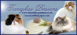 Persians - Partially Holistic - Located in UK