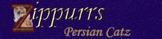 Persians-PartiallyNatural-SharonOllen