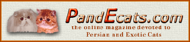 pandecats_banner2.gif