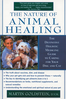 The Nature Of Animal Healing